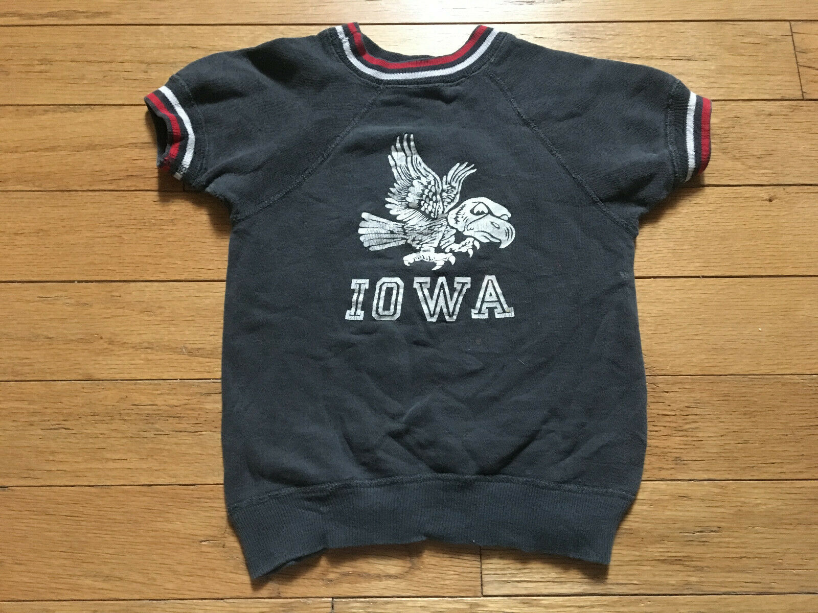 Vintage Champion Goal Runner 1960's Sweatshirt Iowa State Toddler Baby Size!